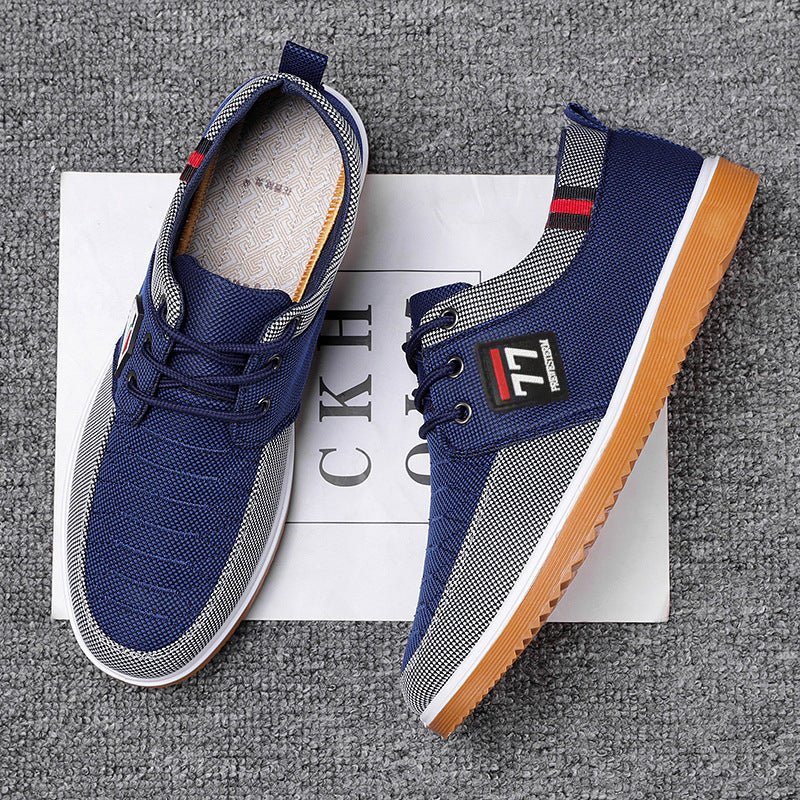 Chaussures casual en toile pour homme, disponibles en marron et bleu